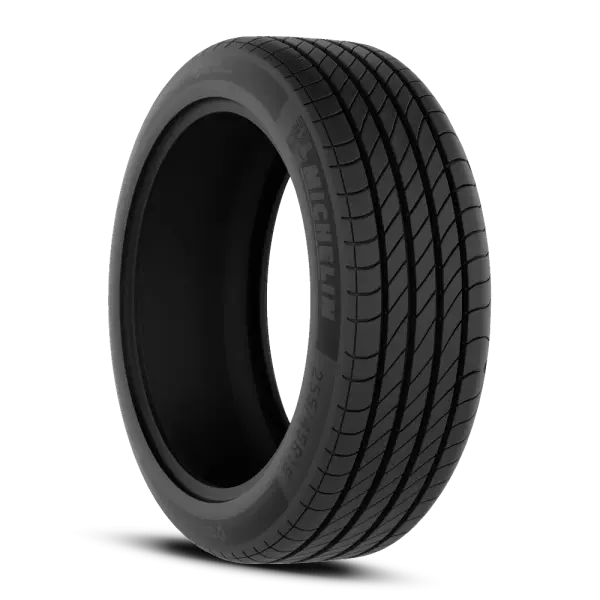 255/45R19 XL Michelin E Primacy ALL Season