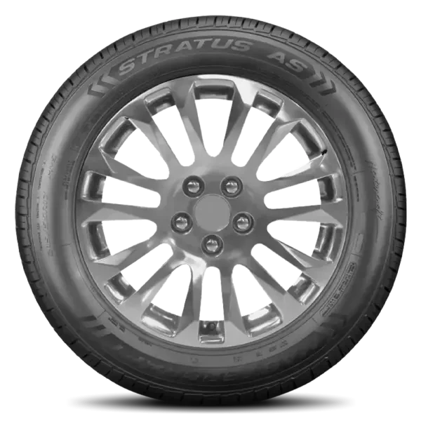 225/60R16 Mastercraft Stratus AS
