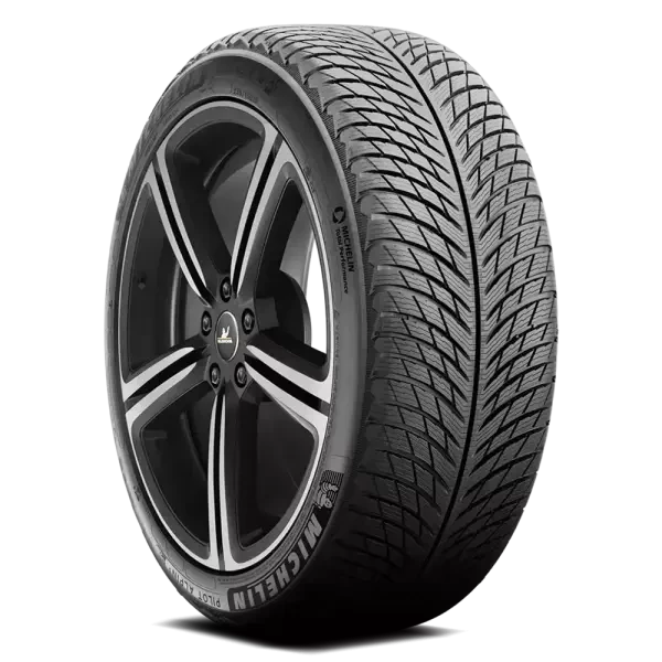295/35R20 XL Michelin Pilot Alpin 5
