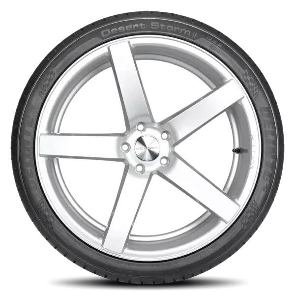 245/30R24 XL Delinte DS8