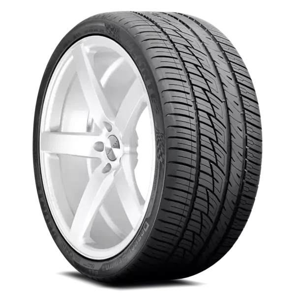 245/30R24 XL Delinte DS8