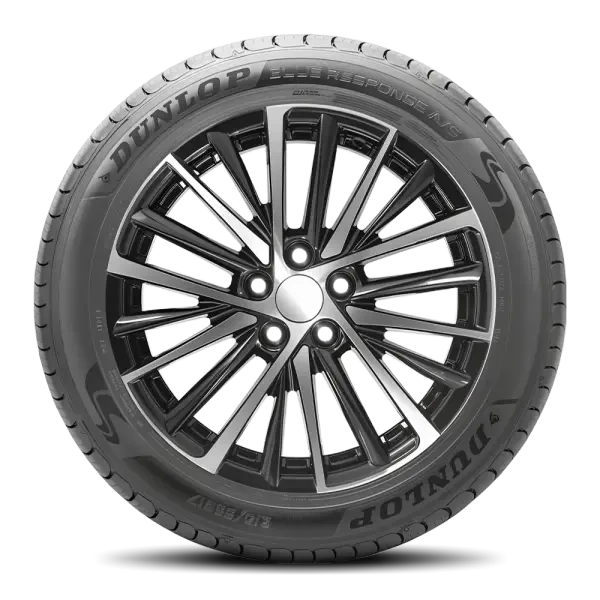 205/60R16 Dunlop Blue Response A/S