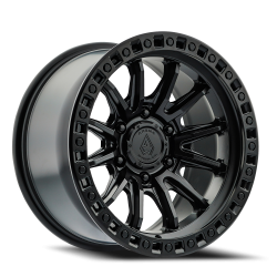 Arena Mission 17x8.5 25