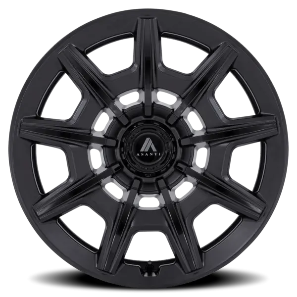 Asanti Black Label Esquire 20 10.5 45