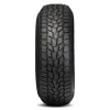 235/55R19 XL Cooper Evolution Winter
