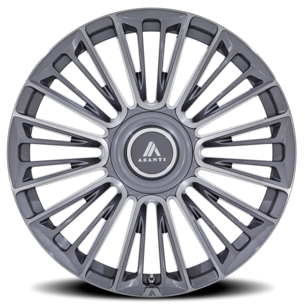 Asanti Black Label Premier AB049 22 9.5 20