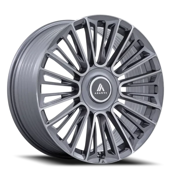 Asanti Black Label Premier AB049 22 9.5 25