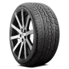 295/35R24 XL Nexen Roadian HP