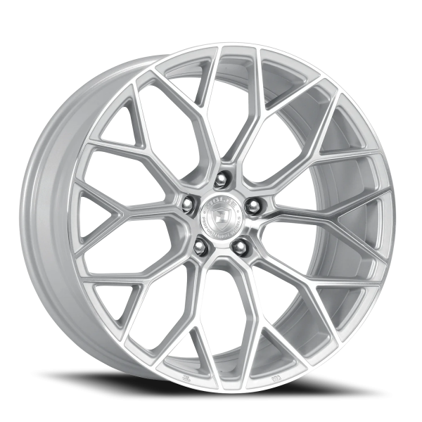 Dolce Performance Pista 19 8.5 35