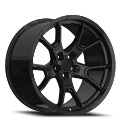 Repco DG06 20x9.5 18