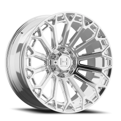 Hostile Warrior 20x12 -44