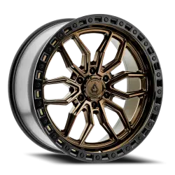 Arena Hustle 22x9.5 20