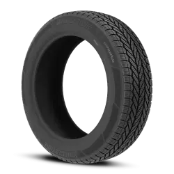 225/55R19 Bridgestone Weatherpeak