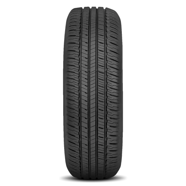 225/60R18 Dunlop Grandtrek PT20 A/S Oe