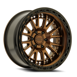 Metal-FX Slayer Truck 20x10 -18