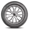 225/55R17 XL Falken Eurowinter HS01