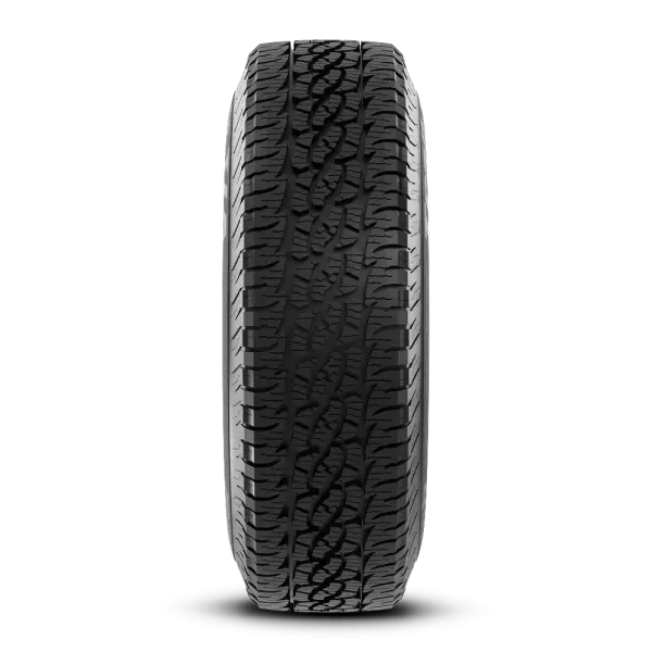 255/55R19 XL Bfgoodrich Trail-Terrain T/A