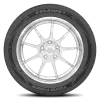 255/50R19 XL Toyo Celsius Ii