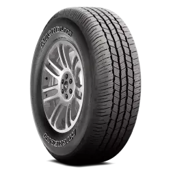 265/55R20 XL Michelin Defender LTX M/S 2