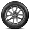 225/60R17 XL Nokian Remedy WRG5